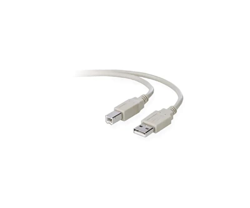 F3U133B10 - Belkin USB Cable Type A Male USB Type B Male USB 10ft