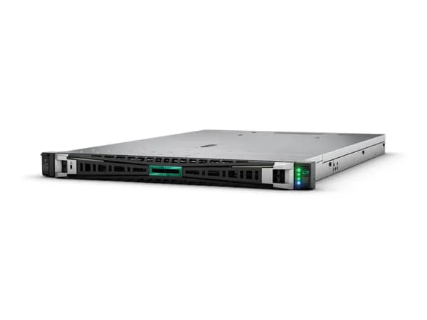 P58691-B21 - HPE ProLiant DL325 Gen11 1U Rack Server